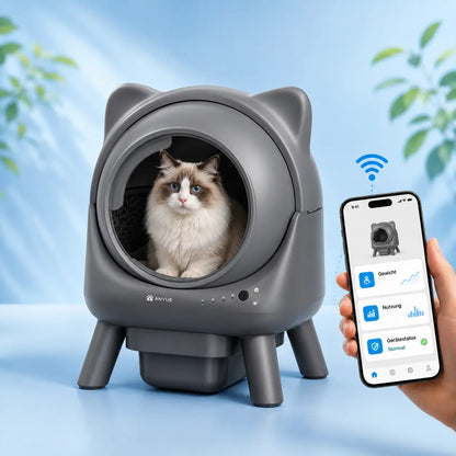 Katzentoilette_ Variantenbild