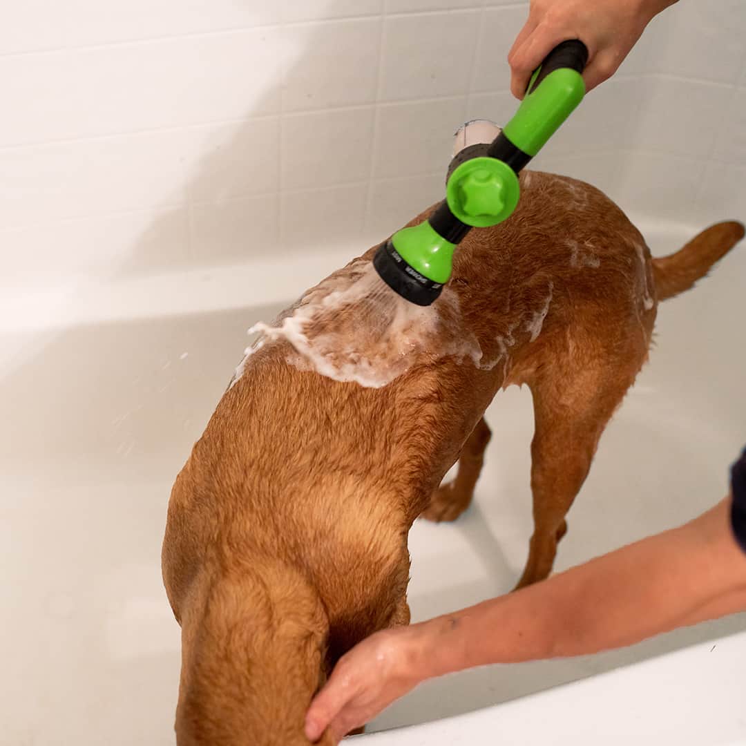 FellFit Düse – Die einstellbare Hundebrause für schnelle & gründliche Fellreinigung