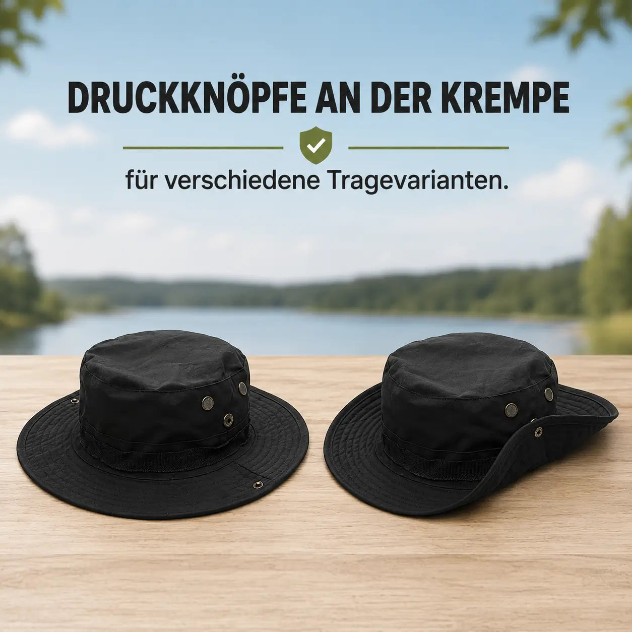 Sonnenhut Funktionsübersicht 