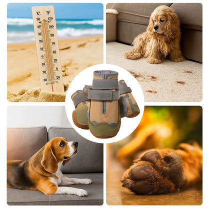 Hundeschuhe wasserdicht & rutschfest | Schutz und Komfort ganzjährig