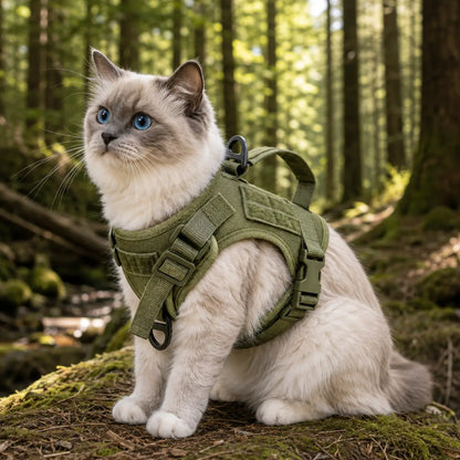 Katzengeschirr
