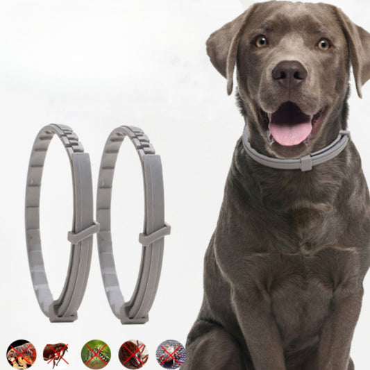 SchutzBuddy – Das natürliche Floh- & Zeckenhalsband für Hunde