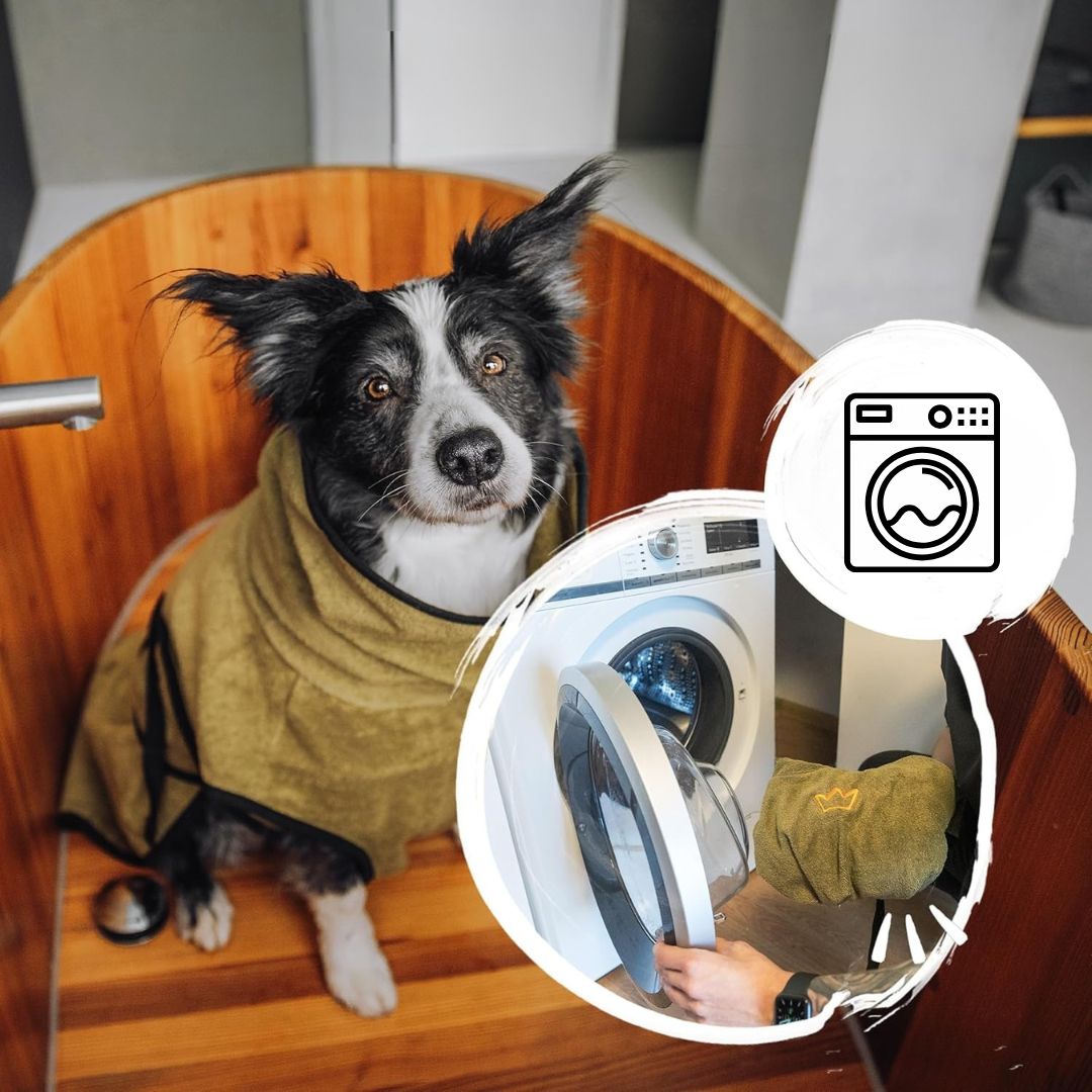 TrockenBuddy – Der super saugfähige Hunde-Bademantel aus Frottee-Baumwolle