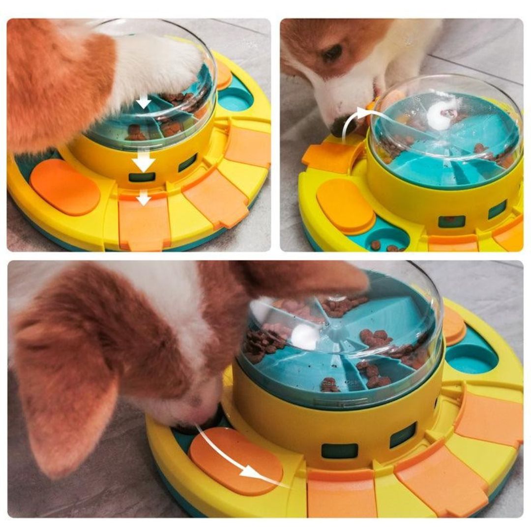DogIQ – Der smarte Snackball für Vierbeiner
