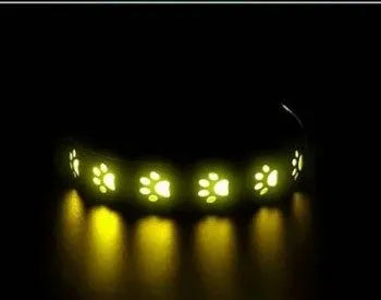 LED Hundehalsband für bessere Sichtbarkeit bei Nacht & Spaziergängen im Dunkeln