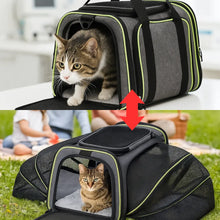 Cat carrier & transport bag | expandable & comfortable