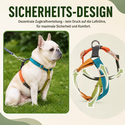 Verstellbares_H-Hundegeschirr Produktmerkmale 