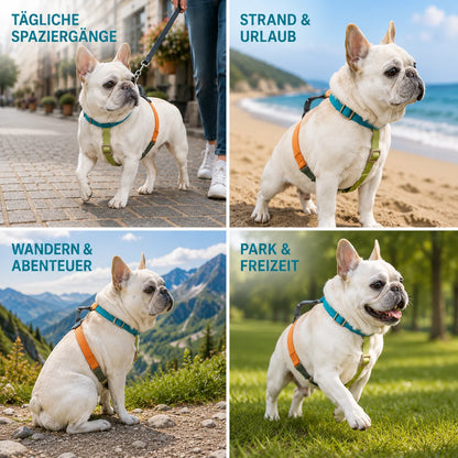 Verstellbares_H-Hundegeschirr_  Anwendungsszenarien 