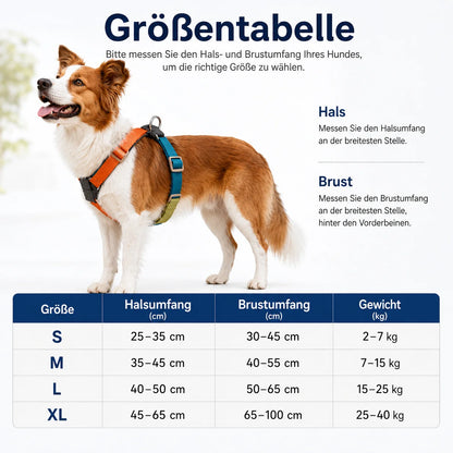 Verstellbares_H-Hundegeschirr_ Größentabelle 