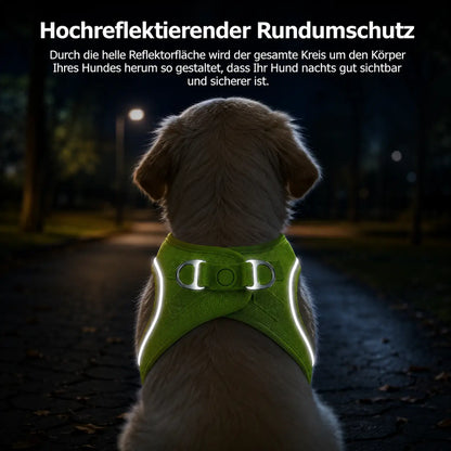 Hundegeschirr Produktmerkmale 
