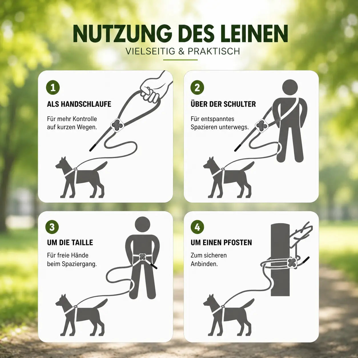 Hundegeschirr Produktverwendung