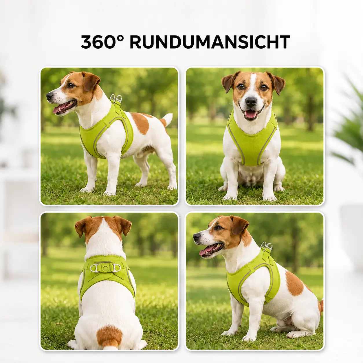 Hundegeschirr 360