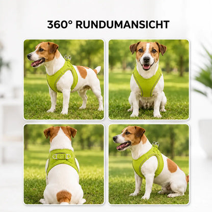 Hundegeschirr 360