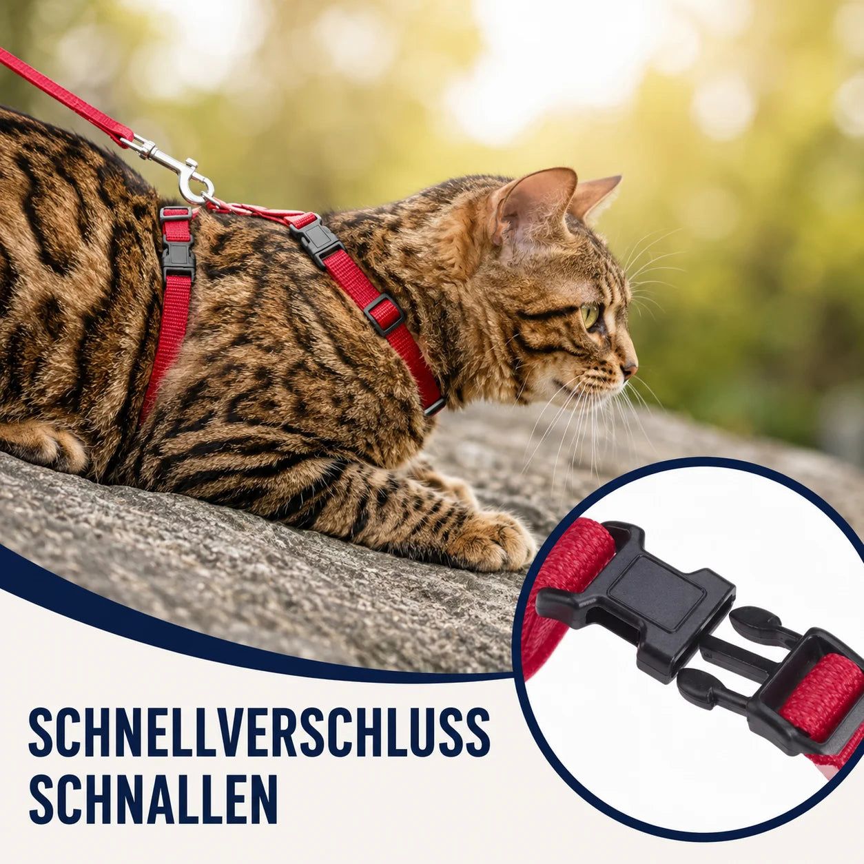 Verstellbares_Katzengeschirr Produktmerkmale 