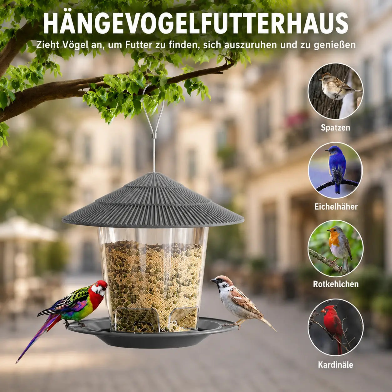 Vogelfutterhaus Funktionsübersicht 
