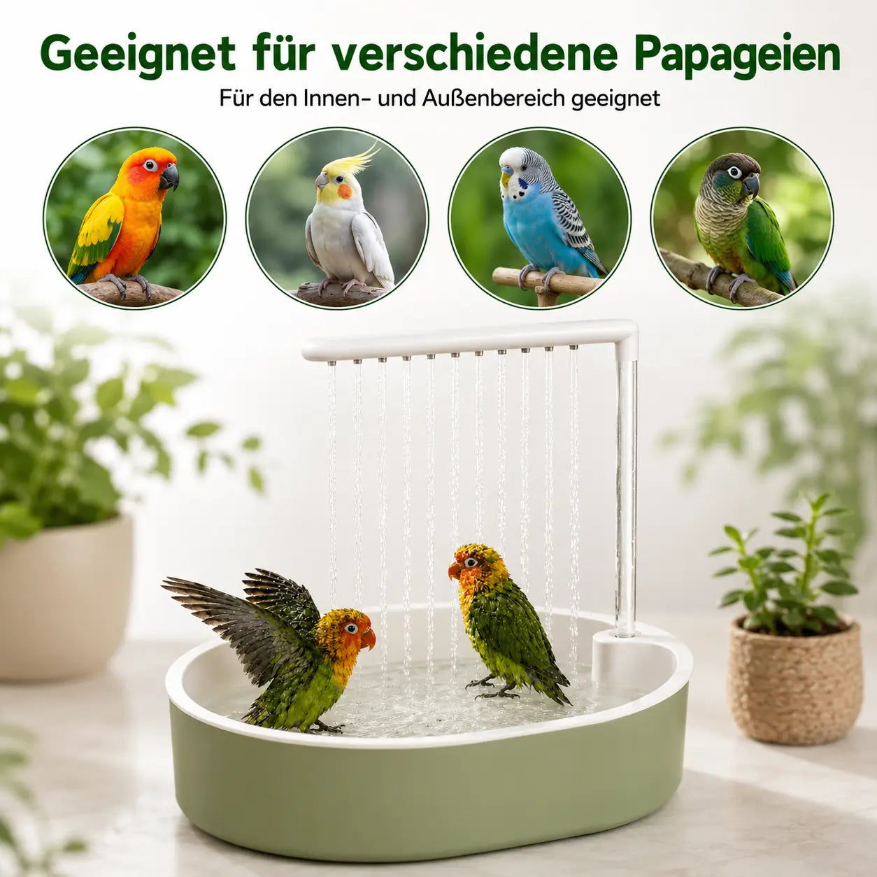 Vogeltranke Funktionsübersicht 