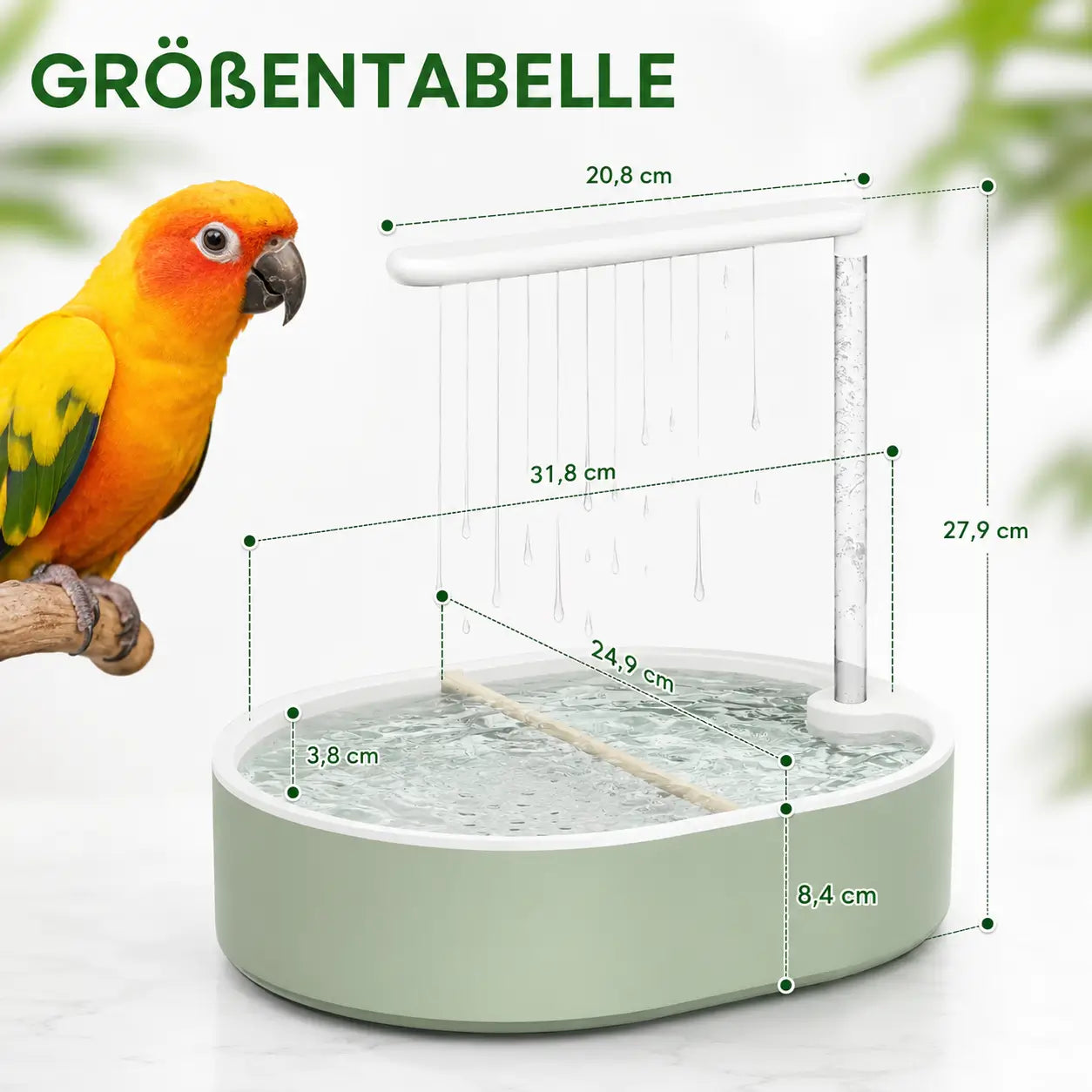 Vogeltranke Größenübersicht 