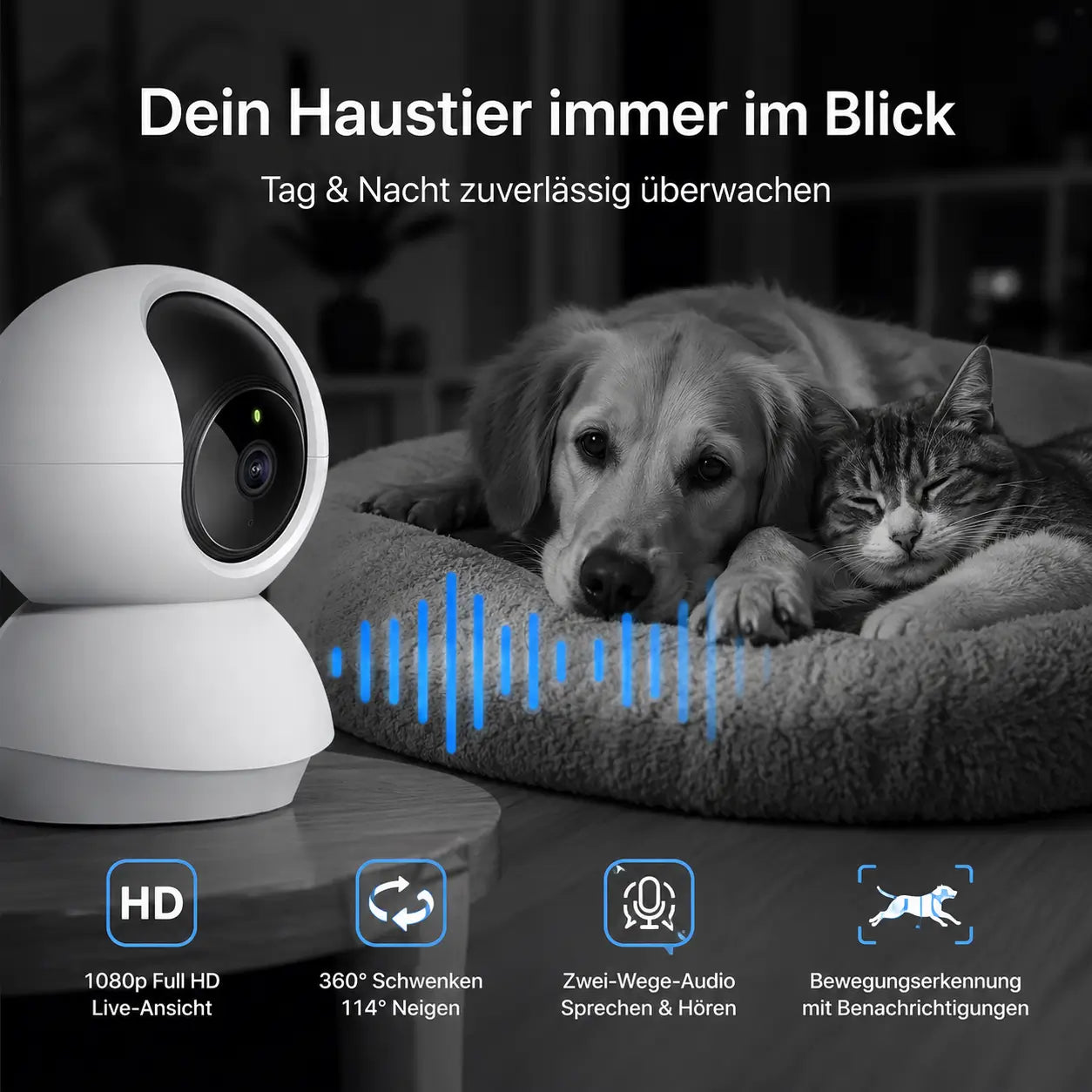 berwachungskamera Funktionsübersicht 
