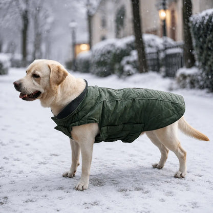 Warmer Steppmantel für Hunde | Wendbar & Kuschelig für den Winter