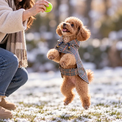 Hundemantel Lifestyle-Bild