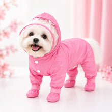 Hunde Regenmantel  Hauptbild 