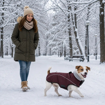 Hundemantel Lifestyle-Bild 