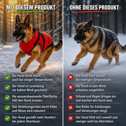 Wasserdichter_Hundemantel  Produktvergleich 