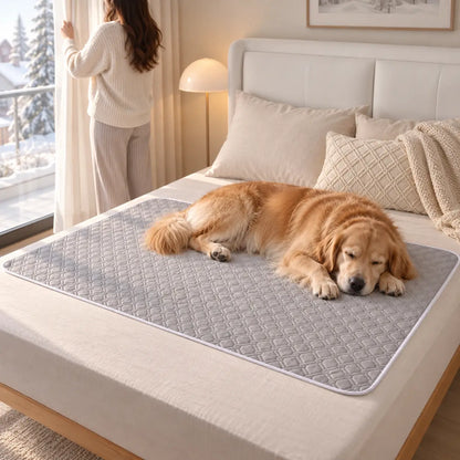Hundematte Lifestyle-Bild