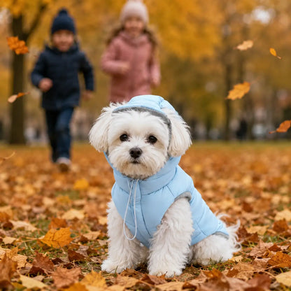 Hundemantel