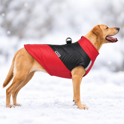 Hundemantel