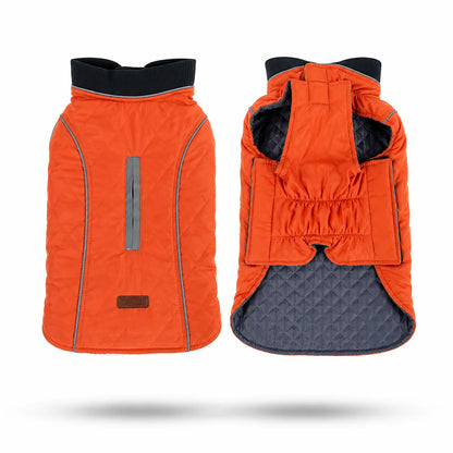 Wintermantel_f_r_Hunde  Variantenbild  Orange