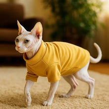 Cat Sweater Winter | Soft Velvet Sweater for Hairless & Short-Haired Cats