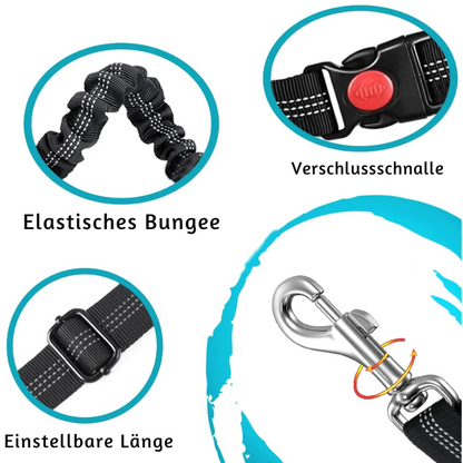 SafeRide – Der verstellbare Sicherheitsgurt für Hunde im Auto