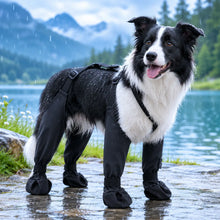 Hundeschuhe mit Beinriemen | Wasserdichte Pfotenschützer für Hunde