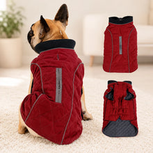 Gesteppte Hundeweste | Warm & Wasserabweisend