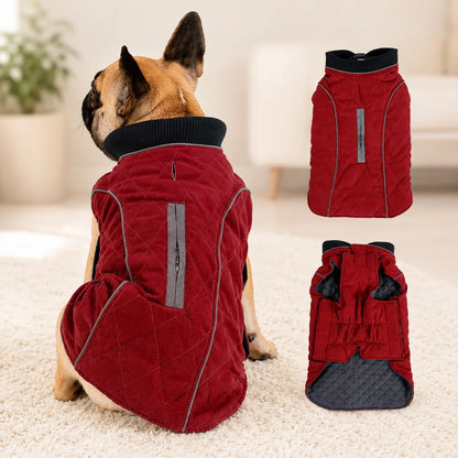 Gesteppte Hundeweste | Warm & Wasserabweisend