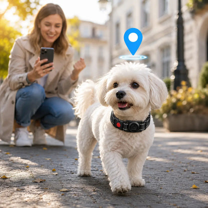 Collier pour chien avec support AirTag | Étanche & sûr pour l'extérieur