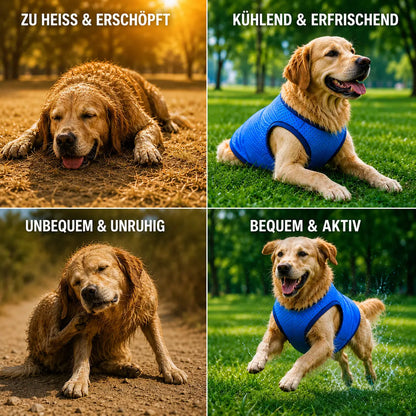 Hunde Kühlweste | Atmungsaktive Kühlweste für heiße Sommertage