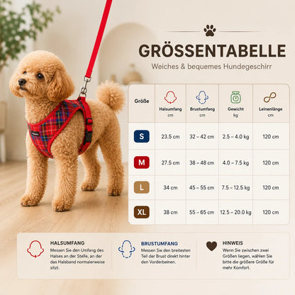 Kariertes Hundegeschirr mit Leine | Verstellbar, Gepolstert & Atmungsaktiv