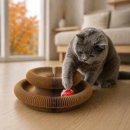 Katzenspielzeug für Katzen | Faltbares Papp-Labyrinth mit Ball