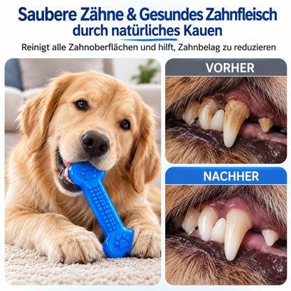 Extrem robuster Gummiknochen für Hunde – unzerstörbar & zahnfreundlich