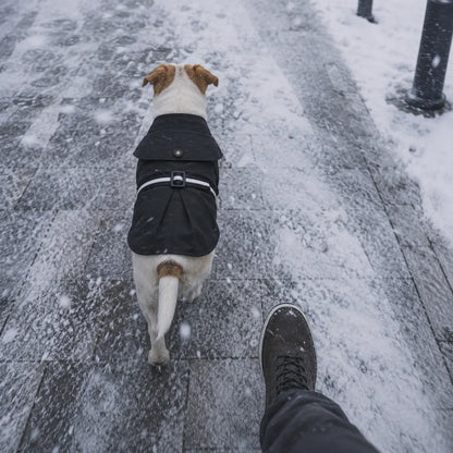 Hundemantel wasserdicht | Trenchcoat für kleine & mittlere Hunde