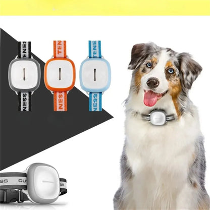 SafeBuddy – GPS-Tracker für Hunde mit Echtzeit-Ortung & Sicherheitsalarm