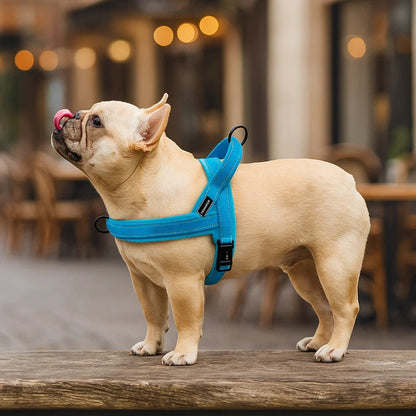 Reflektierendes Hundegeschirr | gepolstert & verstellbar, Anti-Zug