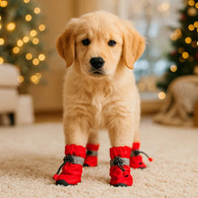 Chaussures pour chien imperméables & antidérapantes | Protection des pattes pour l'extérieur