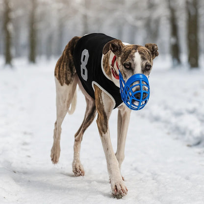Maulkorb Hund | atmungsaktiv, sicher & bequem für Spaziergänge