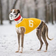 Muselière pour chien | respirante, sûre & confortable pour les promenades