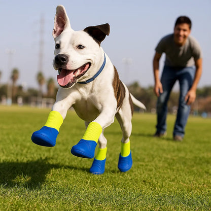 Hundeschuhe Wasserdicht | Schutz & Komfort bei jedem Wetter
