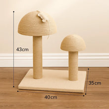 Cat scratching post with bed | Stylish scratching board & resting place