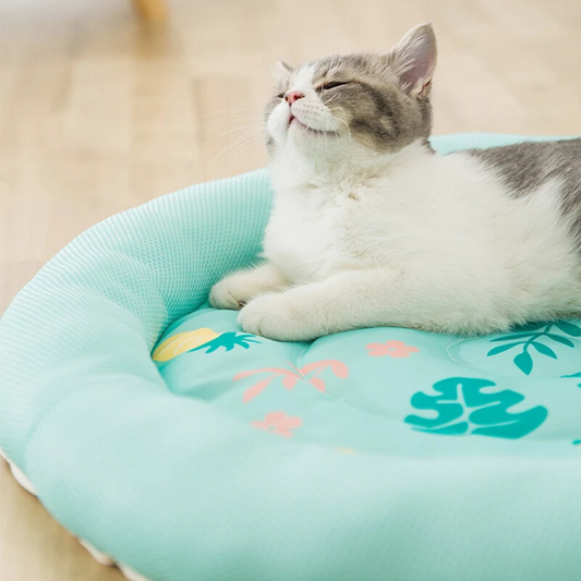 CoolPaws – Atmungsaktive Kühlmatte für Haustiere